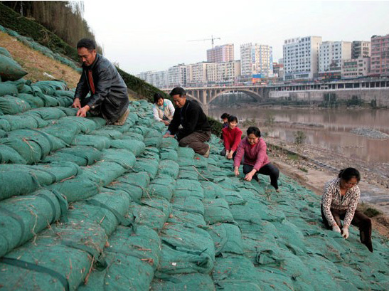 重慶生態袋河道綠化